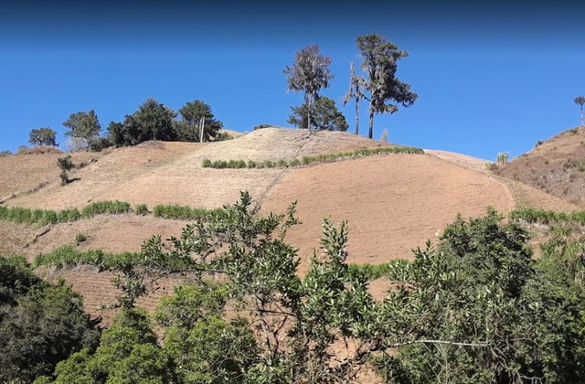 Parque Nacional Valle Nuevo Constanza 1